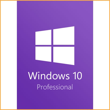 Microsoft Windows 10 Professional OEM