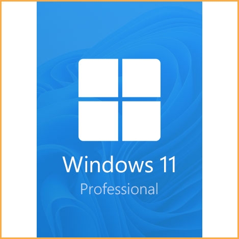 Microsoft Windows 11 Professional OEM