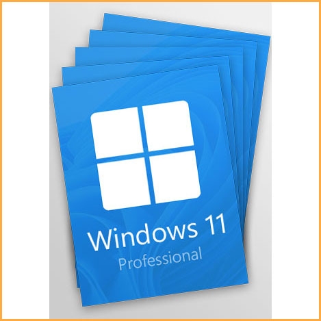 Microsoft Windows 11 Professional OEM (copia)