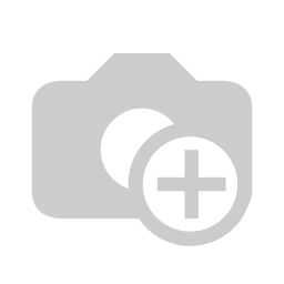 Webcam NGS XpressCam300