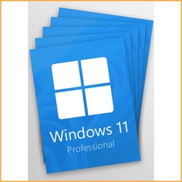 [MSWIN11-5pack] Microsoft Windows 11 Professional OEM (copia)